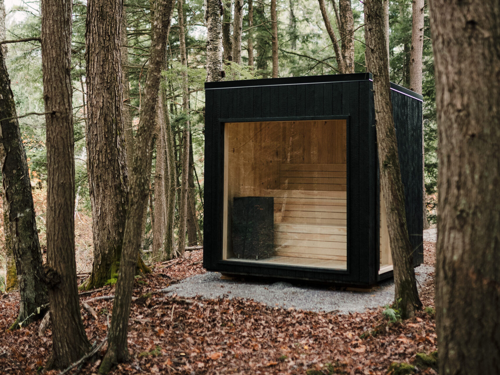 Sip Saunas