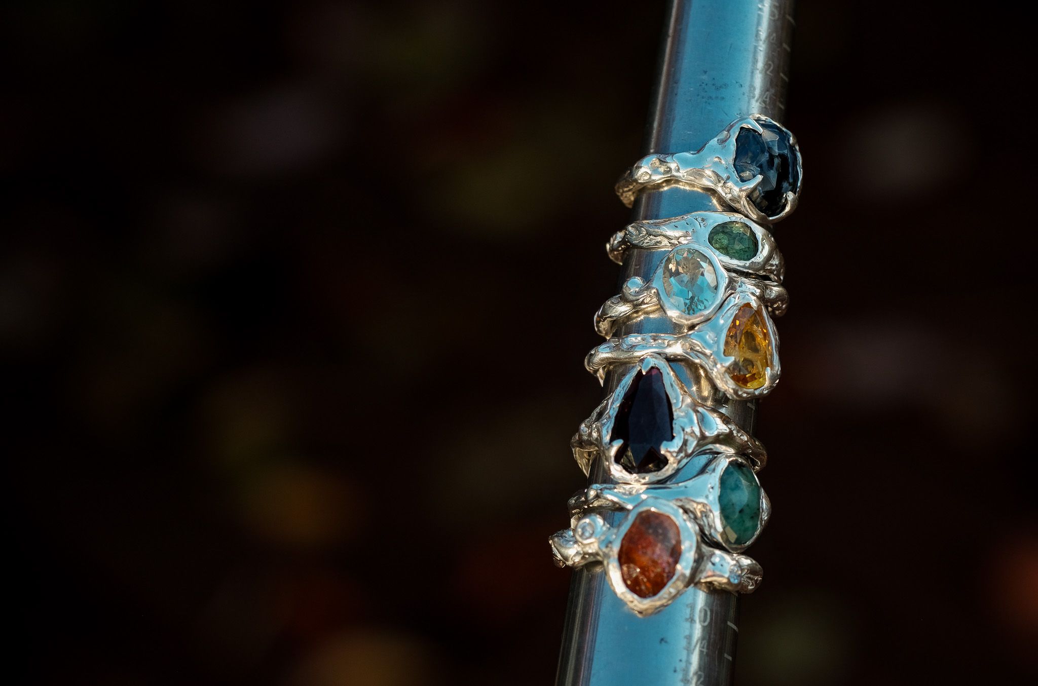 Caitlyn Chapman Studio