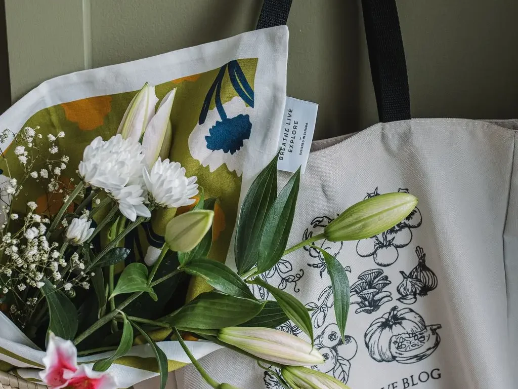 Breathe Live Explore