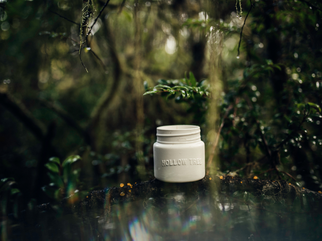 Hollow Tree Candle Co